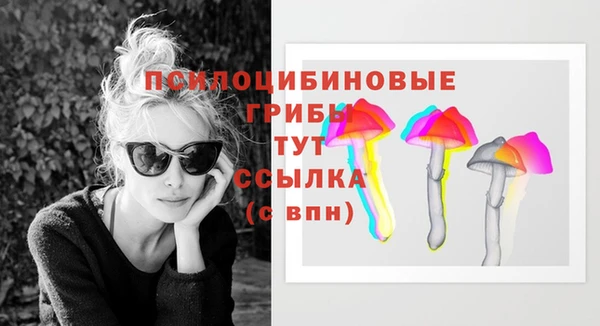 МДПВ Сосновка