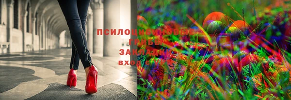 МДПВ Сосновка