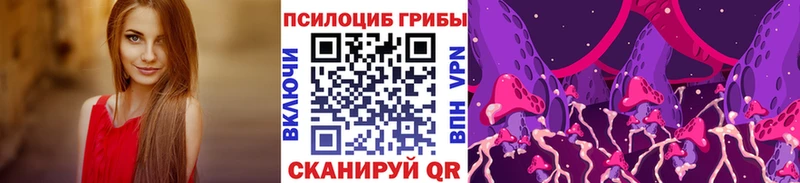 Псилоцибиновые грибы Cubensis  Купить закладки  Яблоновский 